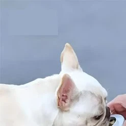 AACARB Cat Water Dispenser, Dog Portable Water Bottle Travel Pet Drinker Leak Proof Dog Bowl Supply Food Outdoor Cat Walking Drinking Bottle Dogs Feeder (Color : White) -Pet Care Center 318j8zvskeL 1