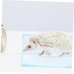 PATKAW 50pcs Chinchilla Bedding Guinea Pig Cages Indoor Disposable Underpads Cat Urine Pad Rabbit Potty Training Pads Dog Pads Extra Large Pet Supplies Bedpan Potty Pad Rabbit Cage Litter -Pet Care Center 31CVbSZMcZL