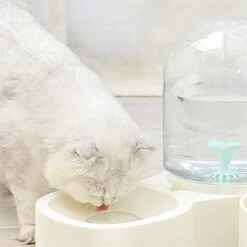 AYENCI Cat Automatic Water, Pet Cat Dog Bowl Fountain Automatic Food Water Container Feeder Dispenser Drinking Bottle Pet Products Dog Water Bowl -Pet Care Center 31DorTbCTkL