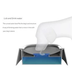 AYENCI Cat Automatic Water, Dog Drinking Bowls Floating Dog Anti-drip Drinker Automatic Feeder Portable Bottle Pet Water Dispenser Dogs Accessories (Color : Gray) -Pet Care Center 31EK0hN20eL