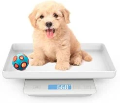 Digital Pet Scale With Tray - Perfect For Puppies, Newborns, Cats, Hamsters, Hedgehogs And Other Small Animals - 33lb/0.03oz Accuracy - White -Pet Care Center 31O7jBNQwTL. AC