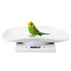 DAUERHAFT Kitchen Scale, Pet Digital Scale Light Weight Non Slip For Cats For Hamster -Pet Care Center 31YY5pZQDhL