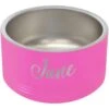 GENERIC 18 Oz. Pet Bowl (Pink)