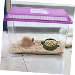 Iplusmile Cavy Hamsters Cat Feeders Green Supply Gerbil Feeder Tool Feeding Kitten Hamster Container Puppy Dispenser For Food Pets Dish Serving Small Rabbit Animals Pet Mice Dog Rodents -Pet Care Center 411OE47wYpL