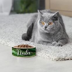 GENERIC Personalized Dog Bowl, Customized Food And Water Dish For Puppy, Cats, Rabbit, Custom Dog’s Name Gift For Small, Medium, Large Dogs, Print Both Sides, Microwave And Dishwasher Safe (Green) -Pet Care Center 412ZZd1EbPL