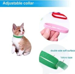 Digital Pet Scale Set, 33lb/15kg Small Animal Scale Food Scale Grams And Ounces, Kitchen Electronic Weight Scale, For Kitten/Puppy/Hamster/Little Bird/Rabbit -Pet Care Center 412eVQmfmzL