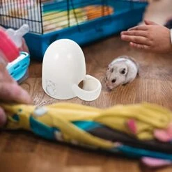 NOGRAX Bird Accessories Hamster Water Feeder Automatic Pet Waterer Feeder Ceramic Small Animal Bowl Pet For Hamster Hedgehog Chinchilla Guinea Pig Hamster Accessories Feeder -Pet Care Center 4132eX80FHL