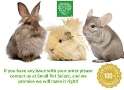 Small Pet Select - Premium Ultra Soft Timothy Hay, Rabbits, Guinea Pigs, Chinchillas, 15oz -Pet Care Center 415tdXa7yxL