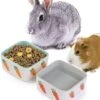 JanYoo Rabbit Accessories Chinchilla Food Bowl And Water Bowls Feeding Ceramic Set For Bunnies Cage Blue Grey (2 Pack) -Pet Care Center 4168EYutBdL