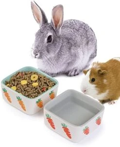 JanYoo Rabbit Accessories Chinchilla Food Bowl And Water Bowls Feeding Ceramic Set For Bunnies Cage Blue Grey (2 Pack) -Pet Care Center 4168EYutBdL. AC