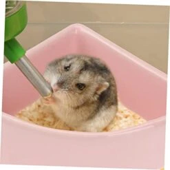 Iplusmile 3 Pcs Hamster Feeding Bowl Triangle Rabbit Water Bottle Cage For Rabbits Doggie Water Bottle Hamster Bowls Small Animal Water Bottle Hamster Bottle Food Bowl Ceramics Bowl Pink Pet -Pet Care Center 418xNbtr3CL