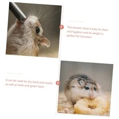 Iplusmile 3 Pcs Hamster Feeding Bowl Triangle Rabbit Water Bottle Cage For Rabbits Doggie Water Bottle Hamster Bowls Small Animal Water Bottle Hamster Bottle Food Bowl Ceramics Bowl Pink Pet -Pet Care Center 41CBTazq72L