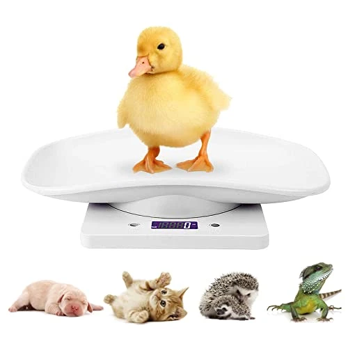 Digital Mini Pet Scale, Small Animal Weight Scale, Portable LCD Electronic Weighing Scale With Tray(Max. 22 Lbs), Multifunction Kitchen Scale For Food/Puppy/Kitten/Lizard/Hamster/Tortoise/Whelping 3 Digital Mini Pet Scale, Small Animal Weight Scale, Portable LCD Electronic Weighing Scale With Tray(Max. 22 Lbs), Multifunction Kitchen Scale For Food/Puppy/Kitten/Lizard/Hamster/Tortoise/Whelping
