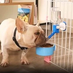 AACARB Cat Water Dispenser, 1Pc Pet Dog Cat Water Dispenser Nozzle Hanging Bottle Water Beverage Fountain Head Leak-Proof Feeder Bowl Pet Feeding Device (Color : Pink) -Pet Care Center 41HoUZdfgvL