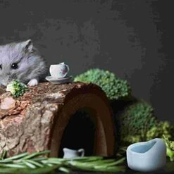 AYENCI Cat Automatic Water, Water Bowl Hamster Rabbit Reptile Bowls Pet Supplies Dish Guinea Food Cage Glider Bottle Sugar Hedgehog Treats Bath Ceramic Sand (Size : Pink) -Pet Care Center 41HpJK8MPjL 1