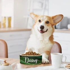 GENERIC Personalized Dog Bowl, Customized Food And Water Dish For Puppy, Cats, Rabbit, Custom Dog’s Name Gift For Small, Medium, Large Dogs, Print Both Sides, Microwave And Dishwasher Safe (Green) -Pet Care Center 41IO09IoFbL