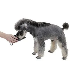 AYENCI Cat Automatic Water, Pet Dog Water Bottles Outdoor Stainless Steel Drink Bottles Puppy Drink Clean Water Feeder Storage Sport Portable -Pet Care Center 41IdnPTRp4L 1