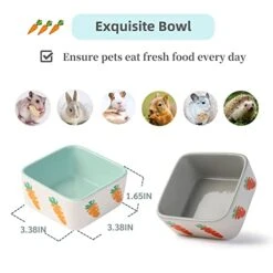 JanYoo Rabbit Accessories Chinchilla Food Bowl And Water Bowls Feeding Ceramic Set For Bunnies Cage Blue Grey (2 Pack) -Pet Care Center 41M5Tt70NCL