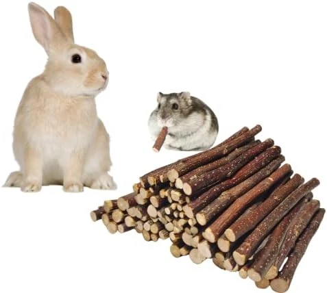 XLpeixin Apple Sticks Natural Chew Toys And Treats For Chinchilla Guinea Pig Hamster Gerbil Rabbit Chew Toys For Teeth,Chew Sticks For Rabbits (Thin 600g-21oz)… 7 XLpeixin Apple Sticks Natural Chew Toys And Treats For Chinchilla Guinea Pig Hamster Gerbil Rabbit Chew Toys For Teeth,Chew Sticks For Rabbits (Thin 600g-21oz)… - Image 5