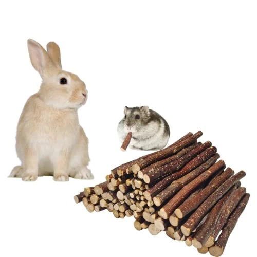 XLpeixin Apple Sticks Natural Chew Toys And Treats For Chinchilla Guinea Pig Hamster Gerbil Rabbit Chew Toys For Teeth,Chew Sticks For Rabbits (Thin 600g-21oz)… 3 XLpeixin Apple Sticks Natural Chew Toys And Treats For Chinchilla Guinea Pig Hamster Gerbil Rabbit Chew Toys For Teeth,Chew Sticks For Rabbits (Thin 600g-21oz)…