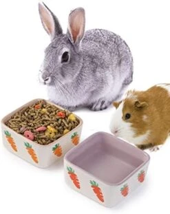 JanYoo Rabbit Accessories Chinchilla Food Bowl And Water Bowls Feeding Ceramic Set For Bunnies Cage Blue Grey (2 Pack) -Pet Care Center 41MRQW0uasL. AC