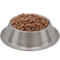 Wysong Ferret Epigen 90 - Starch Free Dry Natural Food For Ferrets, Four- 5 Pound Bags, Model:WDFE9020 -Pet Care Center 41N2vgDiOSL