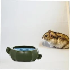 Iplusmile Cavy Hamsters Cat Feeders Green Supply Gerbil Feeder Tool Feeding Kitten Hamster Container Puppy Dispenser For Food Pets Dish Serving Small Rabbit Animals Pet Mice Dog Rodents -Pet Care Center 41OHbmaUgxL