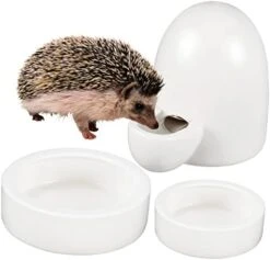 Balacoo 3pcs Animal Drinking Fountain Quail Waterer Hamster Food Dish Food Feeder Rabbit Water Bottle Automatic Rabbit Feeder Cat Food Bowl Ceramics Chinchilla Hamster Supplies -Pet Care Center 41Rx35BQ 3L. AC