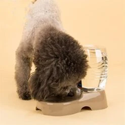 AYENCI Cat Automatic Water, Large Pet Automatic Feeder Dog Cat Drinking Bowl Gravity Pets Water Dispenser Plastic Dog Water Bottle Big Capacity Feeding Dish (Color : Gray) -Pet Care Center 41SheYd4yQL