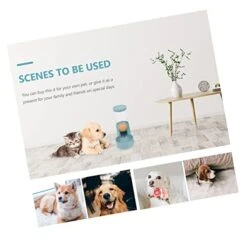 Mipcase 4 Pcs Bowl Food Small Guinea Ferret Pig Cats Hanging Cage Pet Hamsters Bunny Animal And Feeders Rabbit Automatic Other Water Feeder Puppy Hedgehog For Auto Rabbits Drinking Cat -Pet Care Center 41Tq9Eln54L