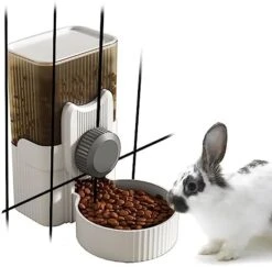 34oz Rabbit Food Bowl For Cage Food Dispenser Hanging Auto Cat Feeder Ferret Cage Accessories Rabbit Supplies For Bunny Kitten Puppy 13 34oz Rabbit Food Bowl For Cage Food Dispenser Hanging Auto Cat Feeder Ferret Cage Accessories Rabbit Supplies For Bunny Kitten Puppy -Pet Care Center 41Y6kYctIML. AC