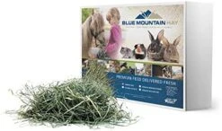 Blue Mountain High Altitude Timothy Hay (5 LB) Rabbits, Guinea Pigs | Bunny Rabbit, Hamster, Chinchilla & Gerbil Feed | Similar To Alfalfa Cubes, Orchard Grass Hay -Pet Care Center 41ZwuQL2NhL. AC 1
