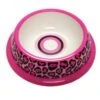 NewAgePet Paw Proof BPA-Free Plastic Pink Leopard Design Pet Dish, 6-Inch -Pet Care Center 41a2t8NL1YL