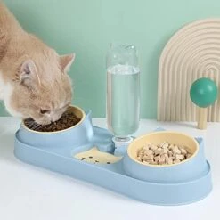 AYENCI Cat Automatic Water, 3 In 1 Pet Feeder And Waterer 500ml Water Bottle Water Fountain Non Slip Food Container Pet Feeding Station Cat Bowls (Color : Green) -Pet Care Center 41ap5hjDkdL
