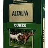 Standlee Hay Company Alfalfa Cubes, 40 Lb -Pet Care Center 41b9IvxNvqL