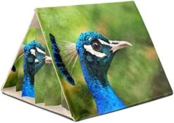 Y-DSIWX Guinea Pig Hideout House Bed, Fast Food Hot Dog Pattern Green Rabbit Cave, Squirrel Chinchilla Hamster Hedgehog Nest Cage -Pet Care Center 41ezLqZY9CL. AC