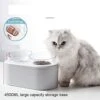 AYENCI Cat Automatic Water, High Feeder For Dogs And Cats, With Airtight Storage, Detachable Water Bowl With High Stand, Double Bowl -Pet Care Center 41gTVhvw4ML