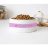 GENERIC Pink Dog Paw Print Pet Name Bowl, Ceramic Pet Bowl, Gift For Pets, Available In 2 Sizes 1 GENERIC Pink Dog Paw Print Pet Name Bowl, Ceramic Pet Bowl, Gift For Pets, Available In 2 Sizes -Pet Care Center 41gqM3zIofL