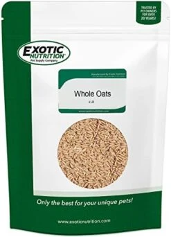 Exotic Nutrition Whole Oats 4 Lb. - Healthy Supplemental Food - Natural Whole Oats For Prairie Dogs, Degus & Chinchillas… -Pet Care Center 41jf9MhxsyL. AC