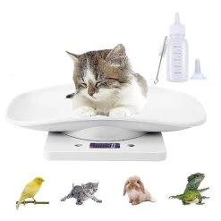 Digital Pet Scale Set, 33lb/15kg Small Animal Scale Food Scale Grams And Ounces, Kitchen Electronic Weight Scale, For Kitten/Puppy/Hamster/Little Bird/Rabbit -Pet Care Center 41jz25kBgSL