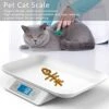 Digital Pet Scale With Tray - Perfect For Puppies, Newborns, Cats, Hamsters, Hedgehogs And Other Small Animals - 33lb/0.03oz Accuracy - White -Pet Care Center 41lu9DOYLaL