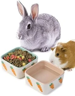 JanYoo Rabbit Accessories Chinchilla Food Bowl And Water Bowls Feeding Ceramic Set For Bunnies Cage Blue Grey (2 Pack) -Pet Care Center 41mBHcKMhwL. AC