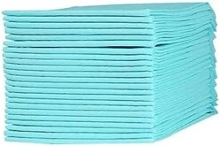PATKAW 50pcs Chinchilla Bedding Guinea Pig Cages Indoor Disposable Underpads Cat Urine Pad Rabbit Potty Training Pads Dog Pads Extra Large Pet Supplies Bedpan Potty Pad Rabbit Cage Litter -Pet Care Center 41nFLdMiuL. AC