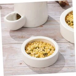 Balacoo 3pcs Animal Drinking Fountain Quail Waterer Hamster Food Dish Food Feeder Rabbit Water Bottle Automatic Rabbit Feeder Cat Food Bowl Ceramics Chinchilla Hamster Supplies -Pet Care Center 41oXbbQ9m3L