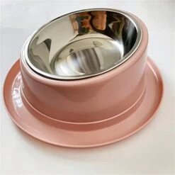 FUUIE Bowls For Food And Water Oblique Mouth 15° Healthy Eating Non-Slip Food Bowl (Color : Pink) -Pet Care Center 41pnQQMCnML