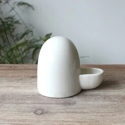 Mipcase 3pcs For Cat Dog Guinea-pig Pet Hamster Ferret Feeder Bird Hegdehog Bowl Parrot Dispenser Small Mini Food Water Animal Supplies -Pet Care Center 41r5BU6dtaL