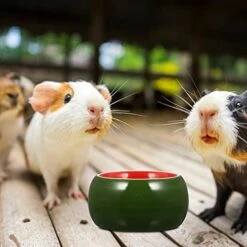 Pet Feeder 2pcs Dogs Feeder Rodent Animal Gerbil Hedgehog Animals Dispenser Guinea Dish Rodents Mice Feeding Eating Bite For Tipping Cats Pig Ceramic Small Moving Holder Reptile Water Dish -Pet Care Center 41scS40j2mL