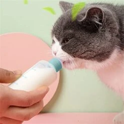 AACARB Cat Water Dispenser, Puppy Kitten Feeding Bottle Feeder 70ml Can Squeeze Liquid Milk Nursing Bottle For Dogs Puppies Rabbits Hamster (Color : Green) -Pet Care Center 41w0gZ7t9XL 1