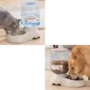 AYENCI Cat Automatic Water, Dog Automatic Feeders Plastic Water Bottle Cat Bowl Feeding And Drinking Dog Water Dispenser Pet Feeding Bowl Pet Supplies (Size : Pink Water) -Pet Care Center 41ydyNWk8kL