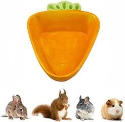 Rabbit Food Bowl - Ceramic Bunny Guinea Pig Hay Feeder Food Dish Water Bowl Chew Resistant Food Bowls Water Feeder For Rabbits, Guinea Pigs, Chinchilla, Ferrets (Big Carrot) -Pet Care Center 41z9gVENHyS. AC